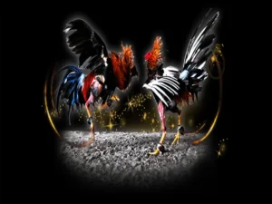 Bí Kíp Cách Chơi Đá Gà Sabong Tại AZ888 Từ Cao Thủ Philippines