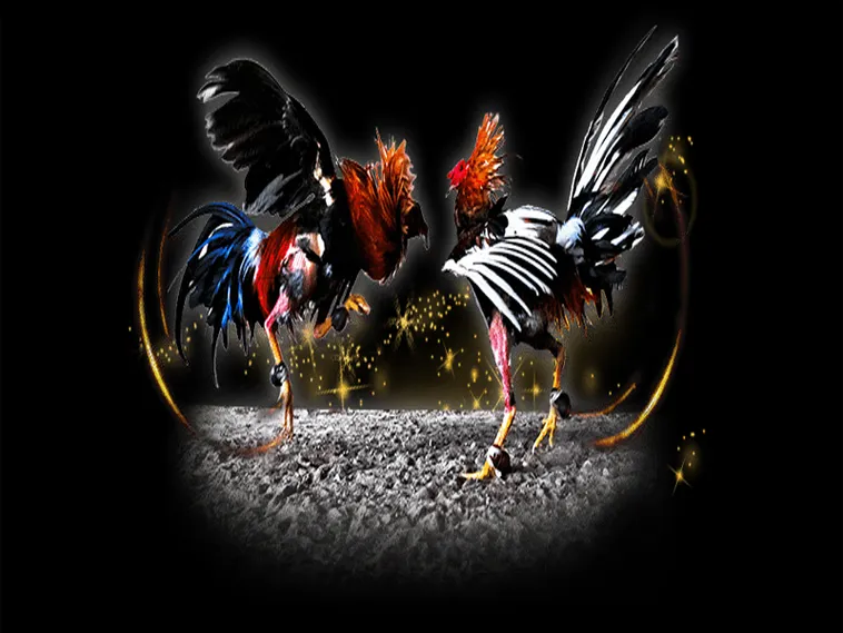 Bí Kíp Cách Chơi Đá Gà Sabong Tại AZ888 Từ Cao Thủ Philippines