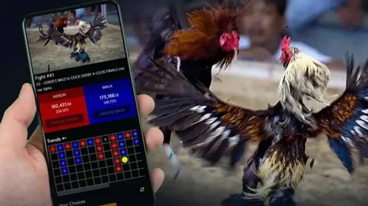 Đá Gà AZ888 Trực Tiếp Hơn 200 Trận Đấu Hấp Dẫn