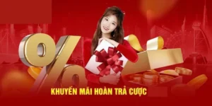 Hoàn Trả Không Giới Hạn Tại AZ888 Bảo Hiểm Vốn Cược Mỗi Ngày